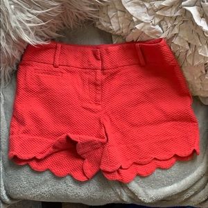 Loft scalloped shorts